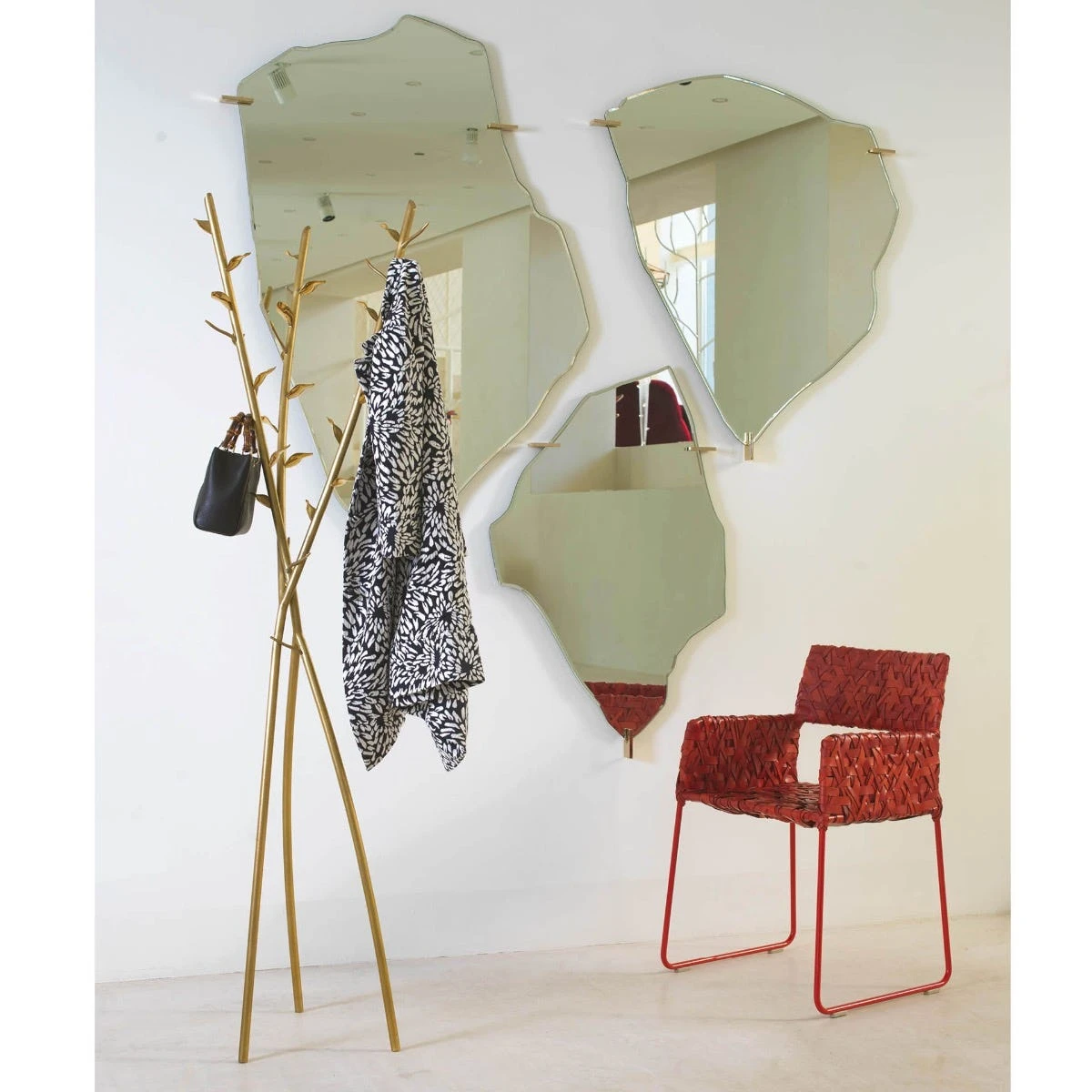 ACATE 6 ACATE - immagine 4