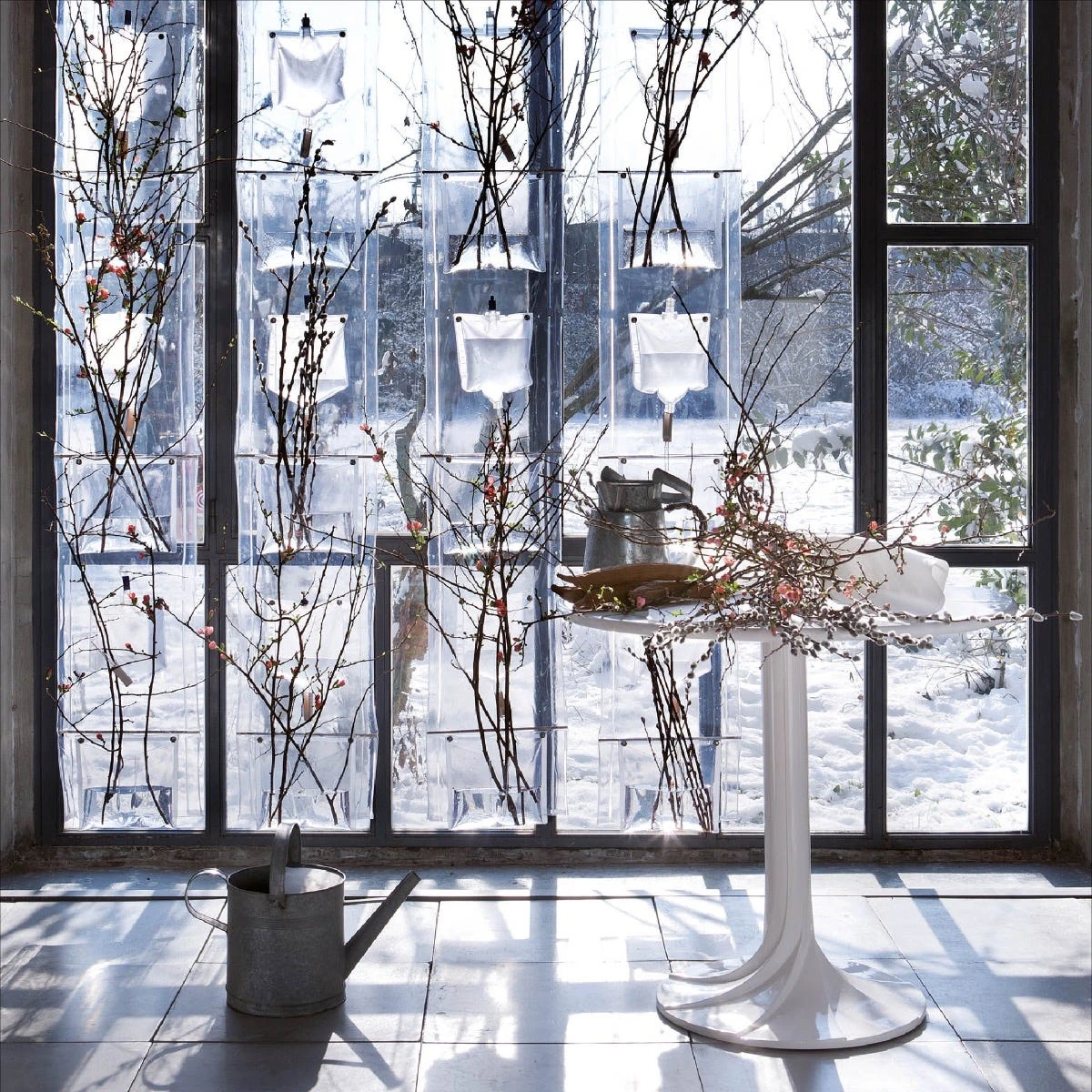 ERBALE 4 ERBALE - immagine 2