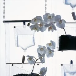 ERBALE 8 ERBALE -Mobilia Negozio erbale amb2