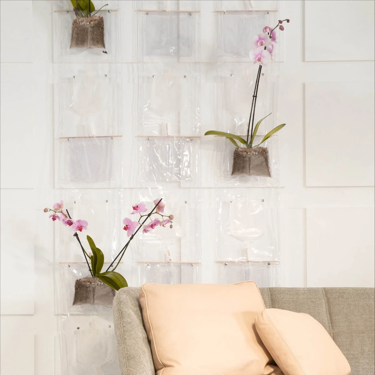 ERBALE 6 ERBALE - immagine 4