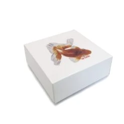 Mobilia Negozio -Mobilia Negozio kingyo imballo2 1