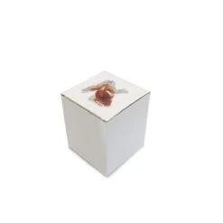 THE WHITE SNOW KINGYO - SET DA CAFFÈ