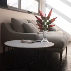 MARIA PIA 9 MARIA PIA -Mobilia Negozio maria pia ds044a5003157 amb2