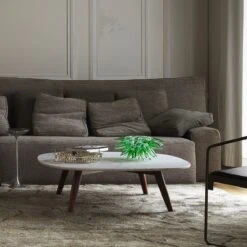 PINO -Mobilia Negozio pino amb2 1